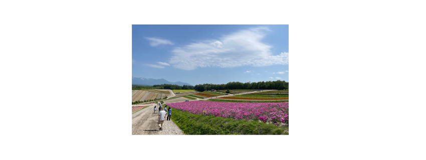 恋愛・婚外恋愛・家庭・子育て・仕事　どんなお悩みでもご相談下さい