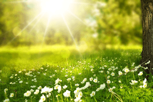 レイキヒーリング